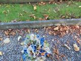 image of grave number 583333